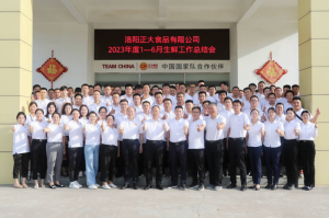總結過去，計劃未來，協(xié)同創(chuàng)新，再創(chuàng)佳績！洛陽正大舉行2023年上半年工作總結會議